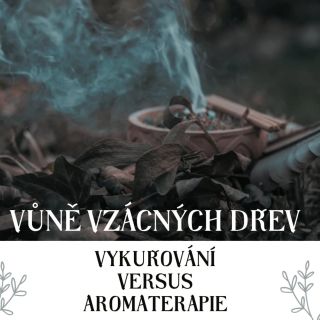 🍂24. 11. 17 hodin🍂 🍂Nádherný meditační večer inspirovaný japonskými rituály naslouchání vůním. Uzavírá se tak letošní...