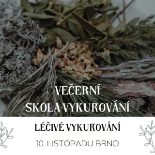 🌿Může vykuřování léčit? Rozhodně ano, ale ... Má to mnoho "ale". 🌿Společně se na to podíváme už 10. 11. v Brně v rámci...